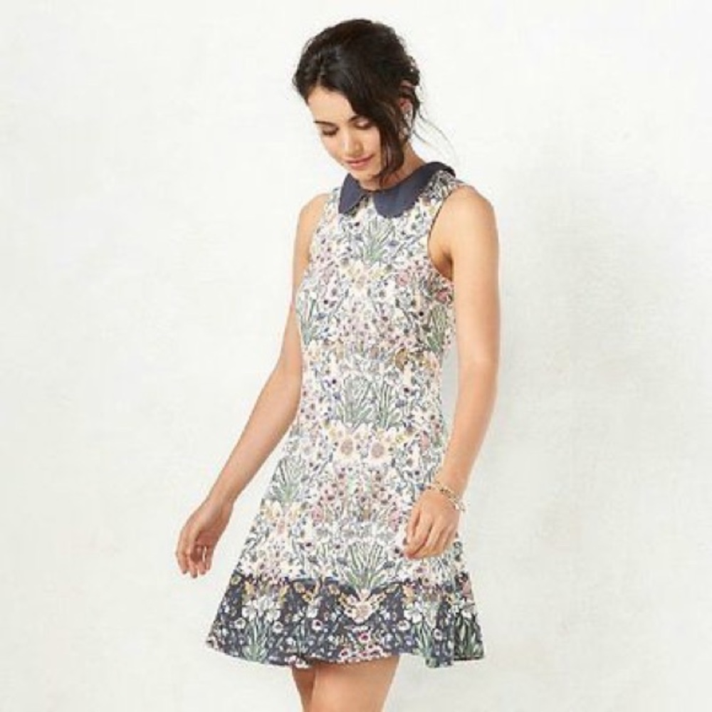 Lauren Conrad Floral Peter Pan Collar A-Line Dress